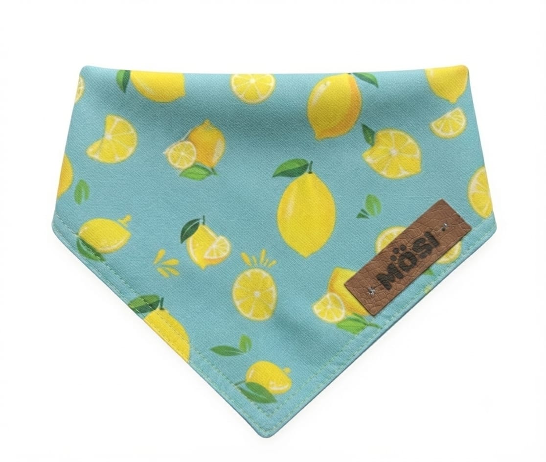 Mosi Bandana para Perro Talla EXG