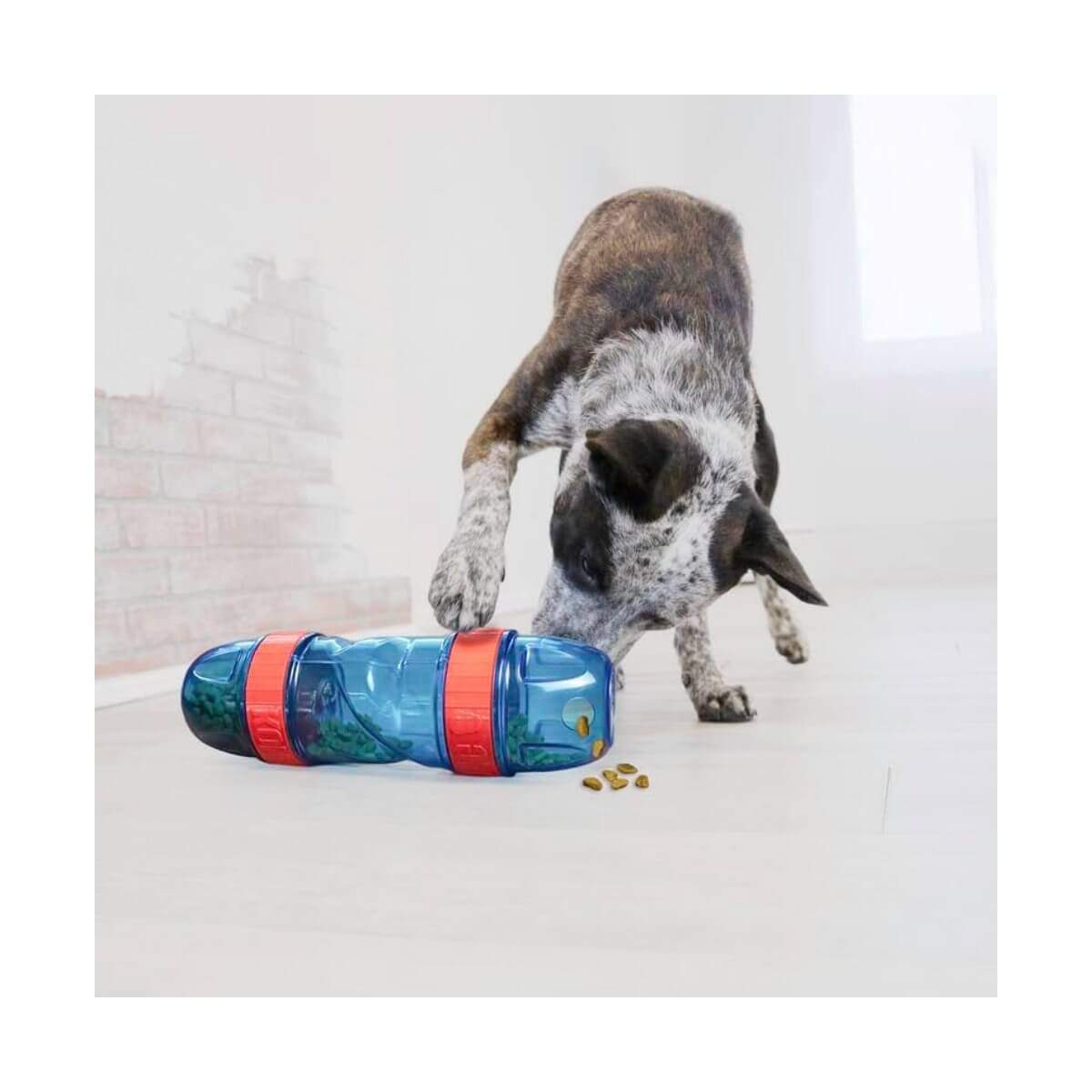 KONG H2O Sport Water Bottle Botella de Agua Portátil para Perro - Dispensador Integrado, Ideal para Paseos y Viajes