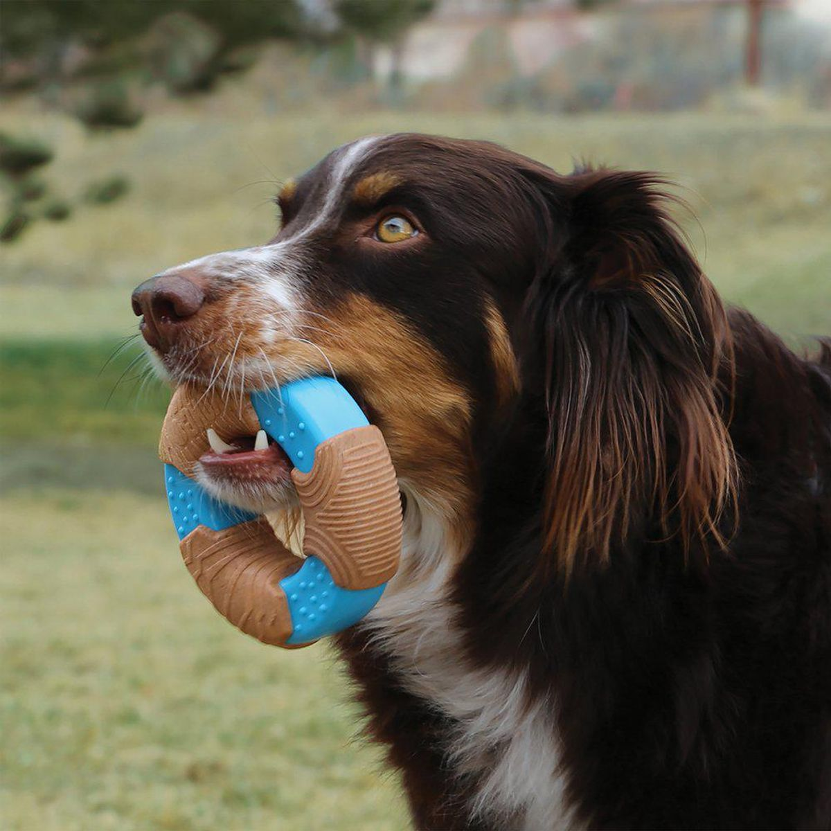 KONG Donita con Textura de Bambú para Perro
