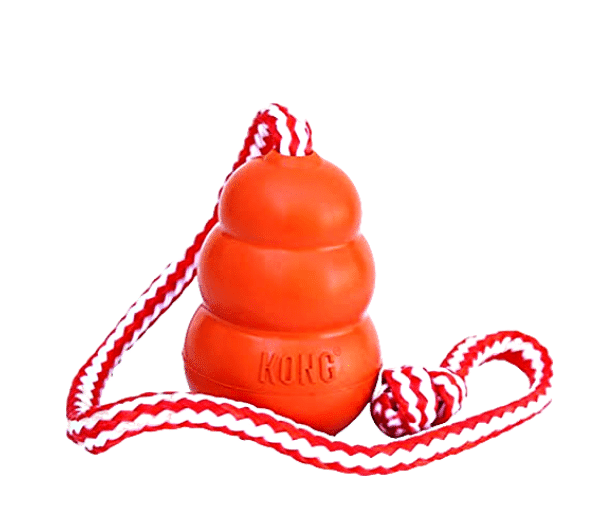 KONG Aqua con Cuerda Juguete Flotante de Goma para Perro - Ideal para Agua y Fetch